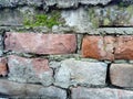 Brick wall. Ceramic masonry or fence. Old, uneven brick, covered in some places with moss and mold. The texture of the stone or Royalty Free Stock Photo