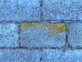 Brick wall is classic blue. One of bricks is defective with yellowness. Royalty Free Stock Photo