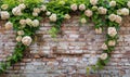 Brick wall with climbing hydrangea Royalty Free Stock Photo