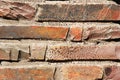 Brick wall closeup Royalty Free Stock Photo