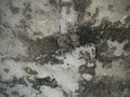 Cement wall, Grey concrete mixture wall , Plaster wall Royalty Free Stock Photo