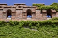 Brick wall covered with ivy against blue sky. Part of an ancient fortress with arched loopholes Royalty Free Stock Photo