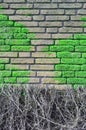 Brick wall covered with moos Royalty Free Stock Photo