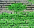 Brick wall covered with moos Royalty Free Stock Photo