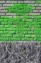 Brick wall covered with moos Royalty Free Stock Photo