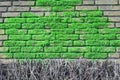 Brick wall covered with moos Royalty Free Stock Photo