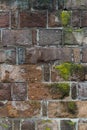 Brick wall covered with moss, old house wall vertical pattern Royalty Free Stock Photo