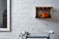 Brick wall with decoration in studio Royalty Free Stock Photo