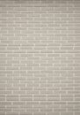 A brick wall featuring horizontally aligned, light gray bricks with white mortar. The bricks are Royalty Free Stock Photo