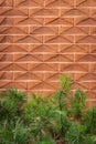 Brick wall with fir tree branches, blurred background. Beautiful pattern on new house wall with green foliage Royalty Free Stock Photo