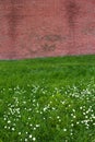 Brick wall on flower field Royalty Free Stock Photo