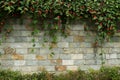 Brick wall with flowers at the top and bottom Royalty Free Stock Photo