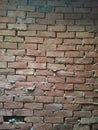 Brick wall front view texture