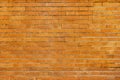 Brick wall in full mixed sun. Vector texture Royalty Free Stock Photo