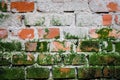 Brick wall Royalty Free Stock Photo