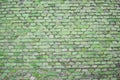 Brick wall, green rustic look, background texture