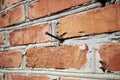 brick wall with a hammered nail background backdrop