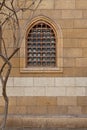 Brick wall with intricate latticework of a wooden window, and delicate branches of a bare tree in a rustic urban scene Royalty Free Stock Photo