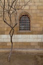 Brick wall with intricate latticework of a wooden window, and delicate branches of a bare tree in a rustic urban scene Royalty Free Stock Photo