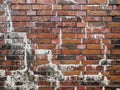 Brick wall with lime efflorescence