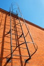 Brick wall with metal ladder