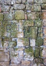 Brick wall with moss Royalty Free Stock Photo