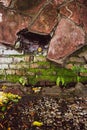 Brick wall moss and fern stones Royalty Free Stock Photo