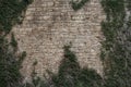 Brick wall of an old ashlar castle. Royalty Free Stock Photo