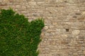 Brick wall of an old ashlar castle. Royalty Free Stock Photo