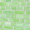 Brick wall with old grunge bricks, light green colour