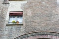 Brick wall of the old italian house with one window