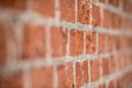 Brick wall Royalty Free Stock Photo