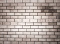 Brick wall with pale gray bricks in black and white. gray brick background They are intricately arranged in horizontal rows in a l Royalty Free Stock Photo