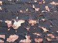 Brick wall peeling paint background or texture Royalty Free Stock Photo