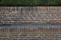 Brick wall with plant in medieval garden