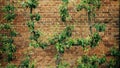 Brick wall with plants.