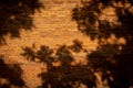 Brick wall of red  wide panorama Background of old vintage brick wall Royalty Free Stock Photo