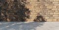 Brick wall stone wall stone floor gravel floor backdrop background sunlight and tree shadow 3D rendering Royalty Free Stock Photo