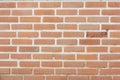 Brick Wall Texture Background.