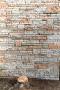 Brick wall texture