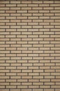 Brick wall texture Royalty Free Stock Photo