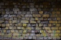 Brick wall texture Royalty Free Stock Photo