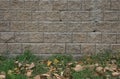 Brick wall textures Royalty Free Stock Photo