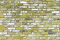 Brick wall with unusual yellow bricks