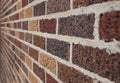 Brick Wall with various colors Royalty Free Stock Photo