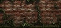 Brick Wall Vines and Stone Pathways: A Whimsical Journey Through