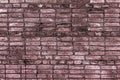 Brick wall Royalty Free Stock Photo