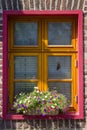 Brick wall with windows and flower boxes with flowering plants Royalty Free Stock Photo