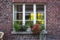 Brick wall with windows and flower boxes with flowering plants Royalty Free Stock Photo