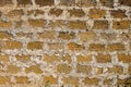 Brick wall of yellow shell rock. Close-up texture of a brick from seashells. Background old wall with cement Royalty Free Stock Photo